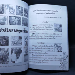 สวดมนต์อภิมหามงคลชีวิต พิชิตเคราะห์ แก้กรรมตามพุทธวิถี สุขภาพดีด้วยสมุนไพร รูปที่ 12