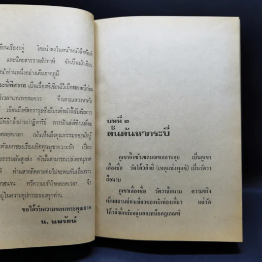กระบี่พิศวาส เล่ม 1-2 - น.นพรัตน์ รูปที่ 10
