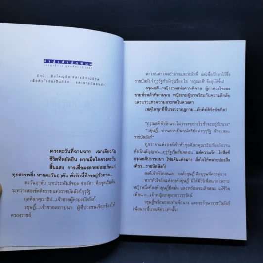 ตะวันฤาดับ - ช่อลัดา รูปที่ 9