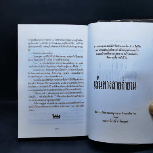 มนต์รักทะเลทราย - Denise Robins, นิดา รูปที่ 12