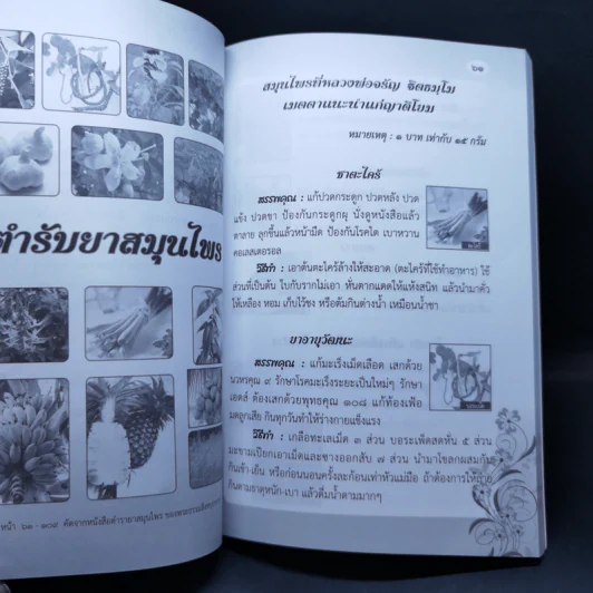 สวดมนต์อภิมหามงคลชีวิต พิชิตเคราะห์ แก้กรรมตามพุทธวิถี สุขภาพดีด้วยสมุนไพร รูปที่ 12
