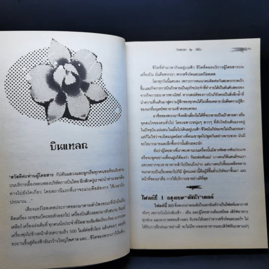 บินแหลกระหว่างไฟลท์ - อีแร้ง รูปที่ 12