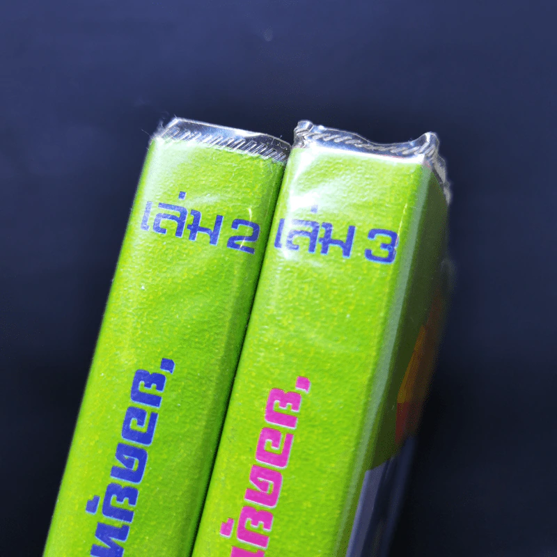 ยอดยุทธยอดทระนง เล่ม 2-3 - น.นพรัตน์ รูปที่ 13