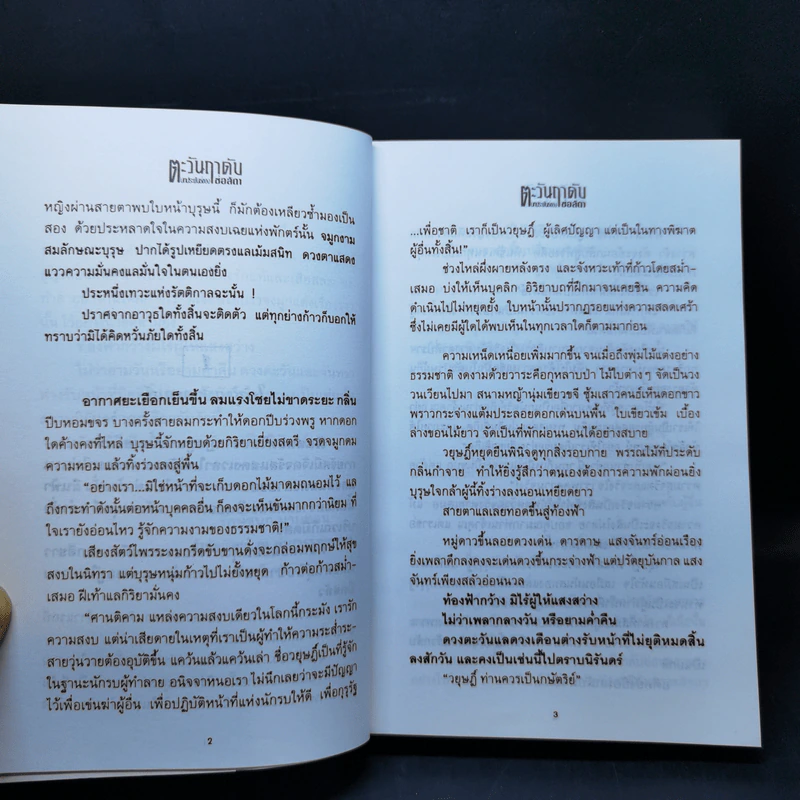 ตะวันฤาดับ - ช่อลัดา รูปที่ 11