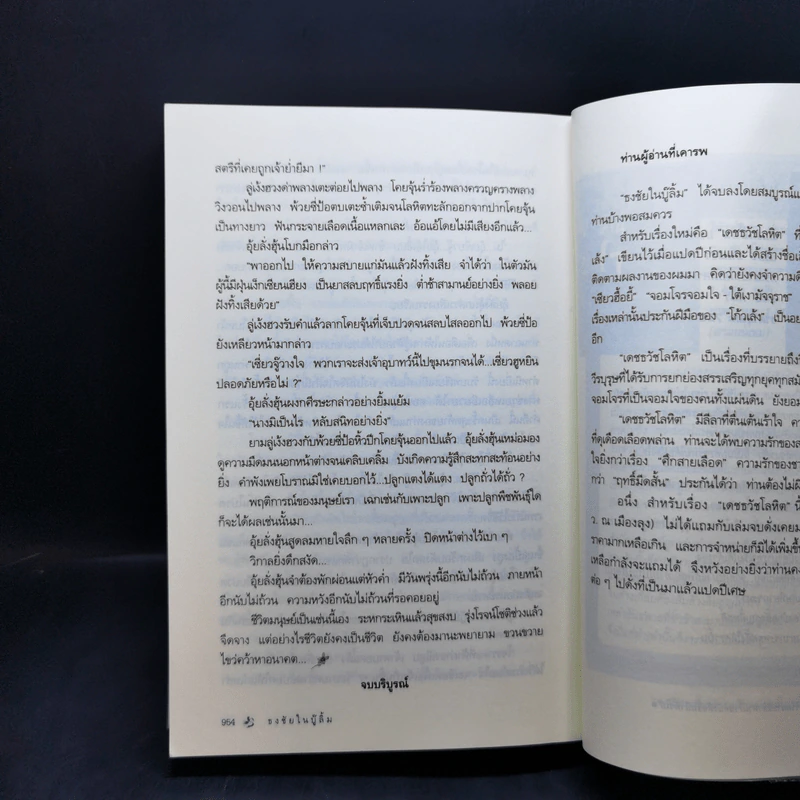 ธงชัยในบู๊ลิ้ม เล่ม 2 - ลิ้วชั้งเอี้ยง, ว.ณ เมืองลุง รูปที่ 12
