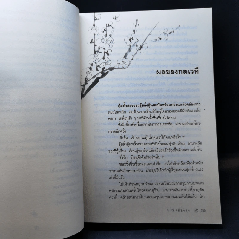 ธงชัยในบู๊ลิ้ม เล่ม 2 - ลิ้วชั้งเอี้ยง, ว.ณ เมืองลุง รูปที่ 11