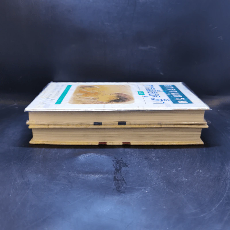 สารานุกรมการเลี้ยงดูเด็ก เล่ม 1-2 - นายแพทย์มิชิโอะ มัตสุดะ รูปที่ 5