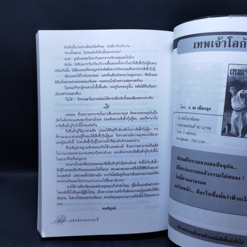 พยัคฆ์คะนองฤทธิ์ เล่ม 2-3 - ว.ณ เมืองลุง รูปที่ 14
