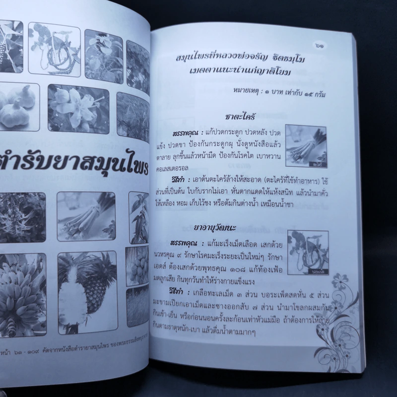 สวดมนต์อภิมหามงคลชีวิต พิชิตเคราะห์ แก้กรรมตามพุทธวิถี สุขภาพดีด้วยสมุนไพร รูปที่ 12