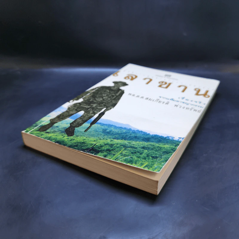 ปฏิบัติการณ์ทลายโรงงานผงนรก เลาซาน - สมเกียรติ พ่วงทรัพย์ รูปที่ 7