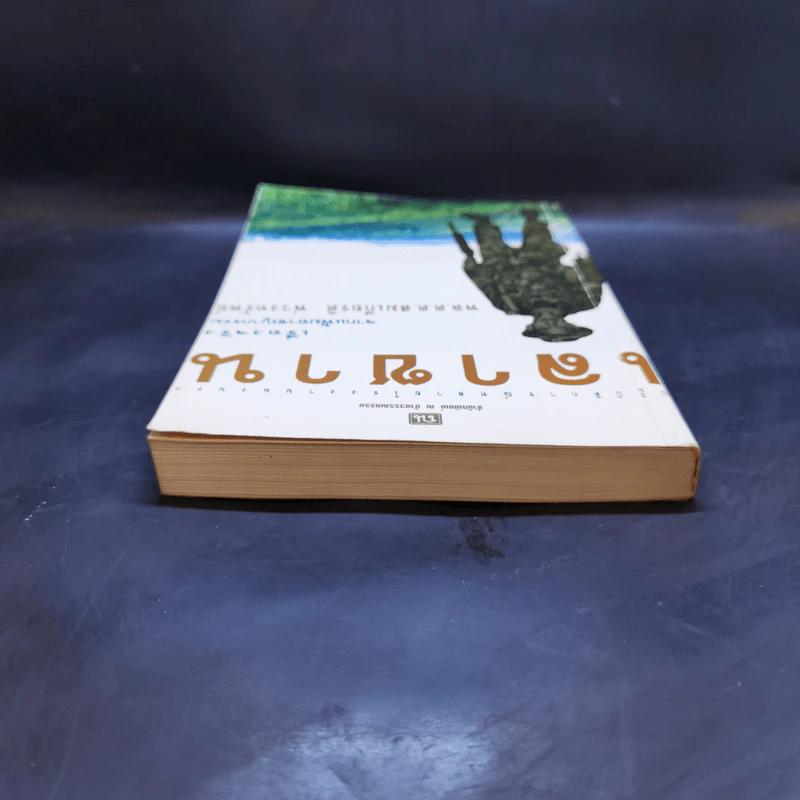 ปฏิบัติการณ์ทลายโรงงานผงนรก เลาซาน - สมเกียรติ พ่วงทรัพย์ รูปที่ 6