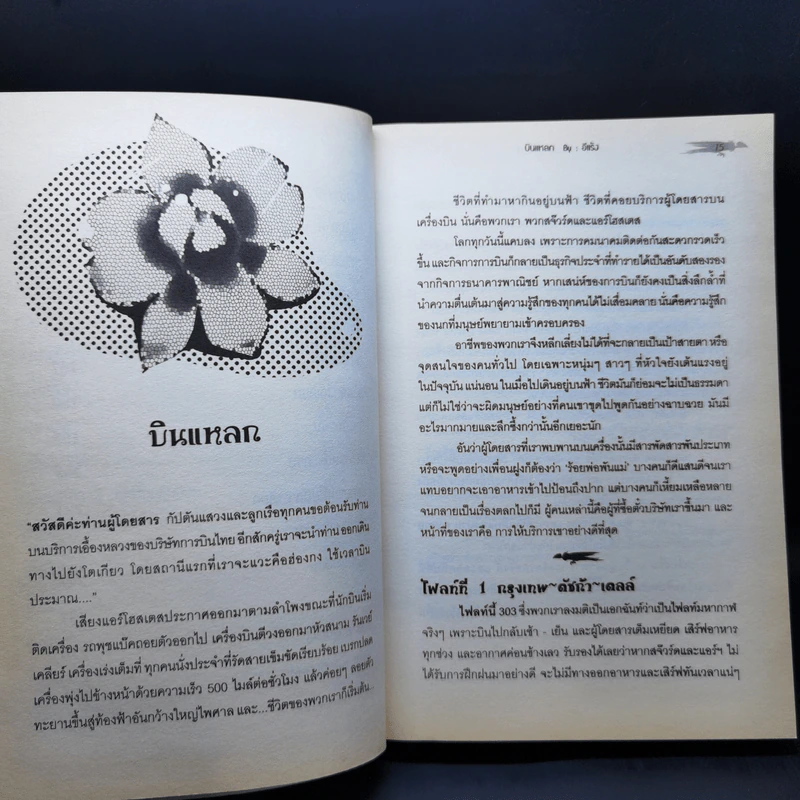 บินแหลกระหว่างไฟลท์ - อีแร้ง รูปที่ 12