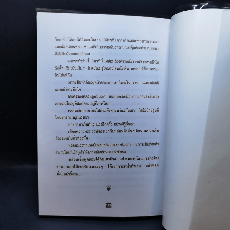 เปลือยอารมณ์ - ดอน-ฮอน (หนุ่ม) รูปที่ 11