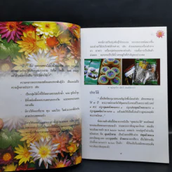 สารานุกรมไทยสำหรับเยาวชน ฉบับเสริมการเรียนรู้ เล่ม 13 บัว เฟิร์น กล้วยไม้ รูปที่ 11