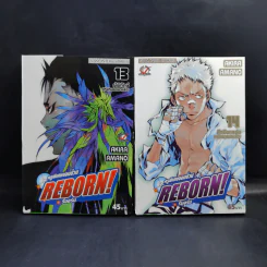 Reborn รีบอร์น ครูพิเศษจอมป่วน 42 เล่มจบ รูปที่ 12