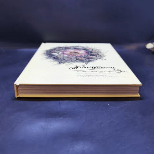 สำนักปฏิบัติธรรม ตามแนวสติปัฏฐานสูตร Boxset รูปที่ 7