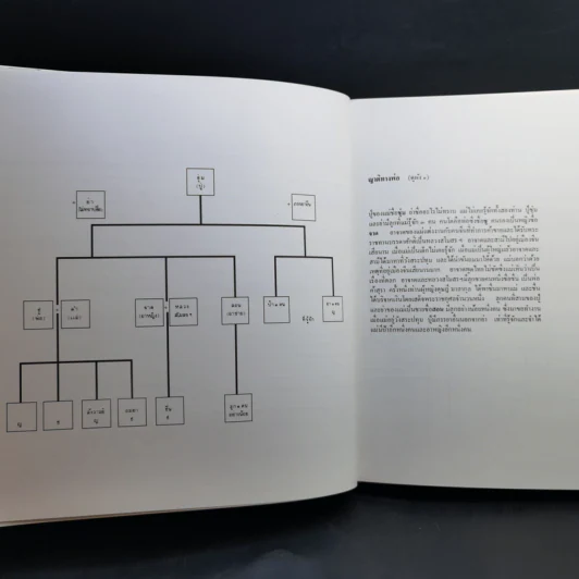 แม่เล่าให้ฟัง Boxset - สมเด็จพระเจ้าพี่นางเธอฯ รูปที่ 15