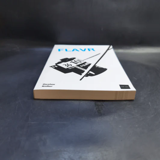 FLAVR: Film Lovers Analogue Visual Reference - Gustav Kollar รูปที่ 4