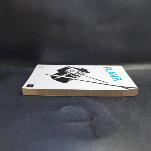 FLAVR: Film Lovers Analogue Visual Reference - Gustav Kollar รูปที่ 5