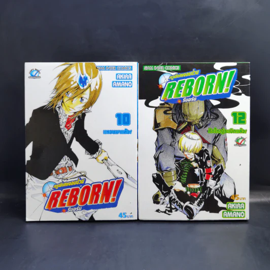 Reborn รีบอร์น ครูพิเศษจอมป่วน 42 เล่มจบ รูปที่ 11