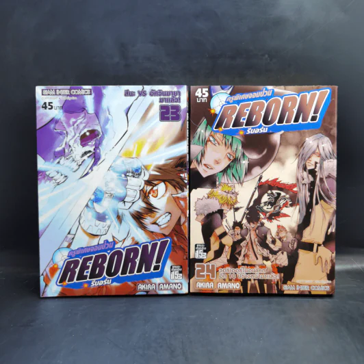 Reborn รีบอร์น ครูพิเศษจอมป่วน 42 เล่มจบ รูปที่ 17