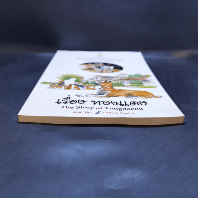 เรื่องทองแดง The Story of Tongdaeng ฉบับการ์ตูน ภาพสี รูปที่ 4