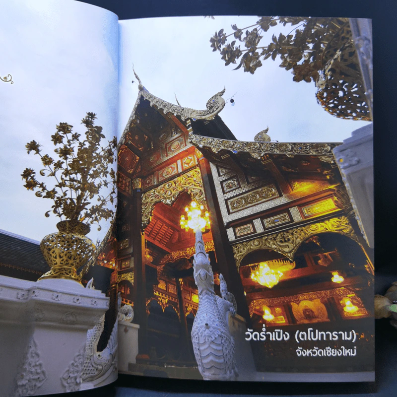 สำนักปฏิบัติธรรม ตามแนวสติปัฏฐานสูตร Boxset รูปที่ 14