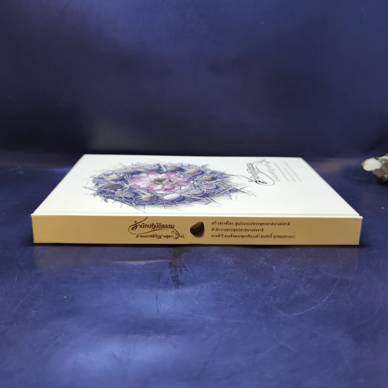 สำนักปฏิบัติธรรม ตามแนวสติปัฏฐานสูตร Boxset รูปที่ 6