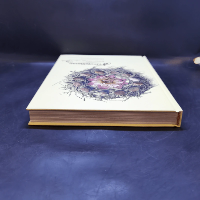 สำนักปฏิบัติธรรม ตามแนวสติปัฏฐานสูตร Boxset รูปที่ 9