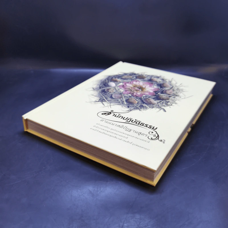 สำนักปฏิบัติธรรม ตามแนวสติปัฏฐานสูตร Boxset รูปที่ 10