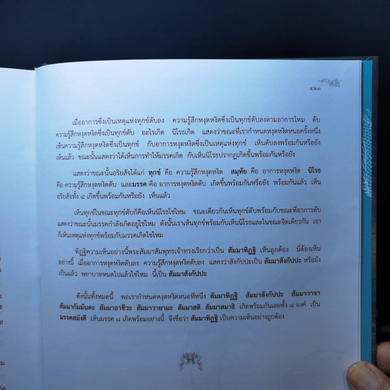 สัตตนาคาพญานาคราชและพระธาตุพนม - อาทิตย์ยามเช้า รูปที่ 14