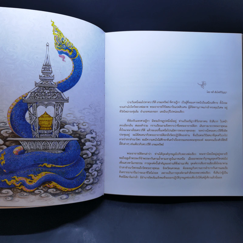 สัตตนาคาพญานาคราชและพระธาตุพนม - อาทิตย์ยามเช้า รูปที่ 13