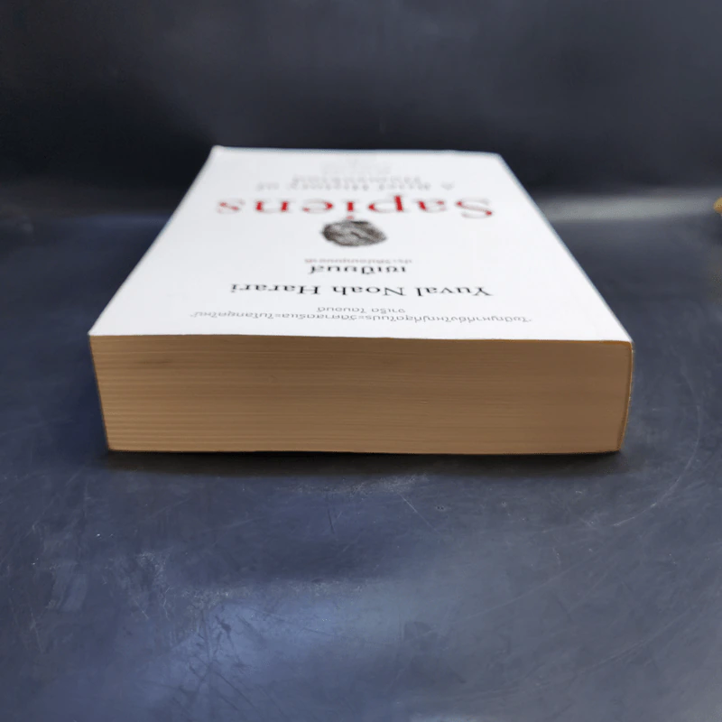 เซเปียนส์ ประวัติย่อมนุษยชาติ Sapiens A Brief History of Humankind - Yuval Noah Harari (ยูวัล โนอาห์ แฮรารี) รูปที่ 6