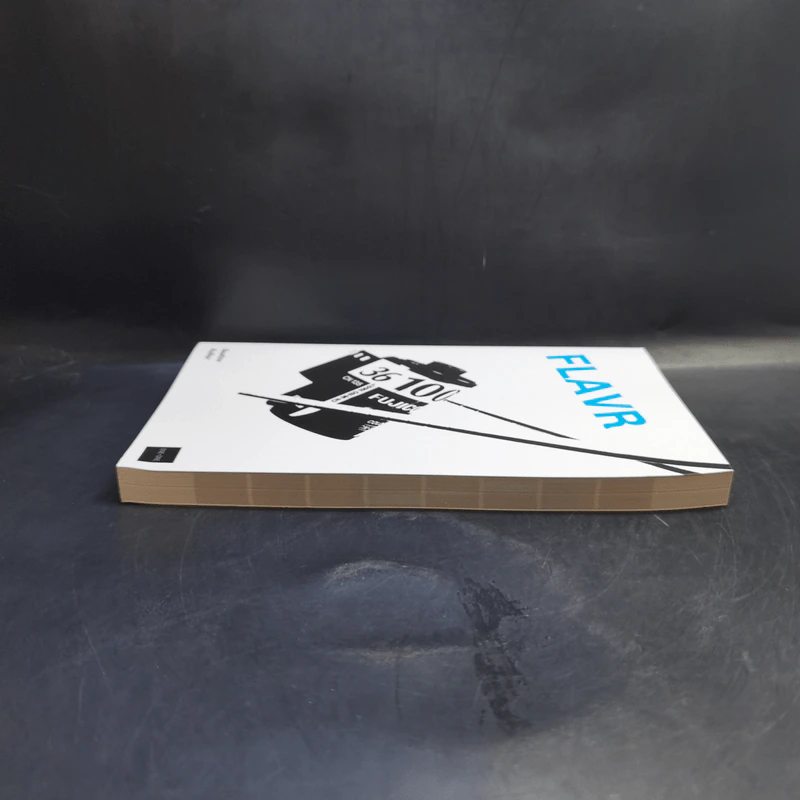 FLAVR: Film Lovers Analogue Visual Reference - Gustav Kollar รูปที่ 5