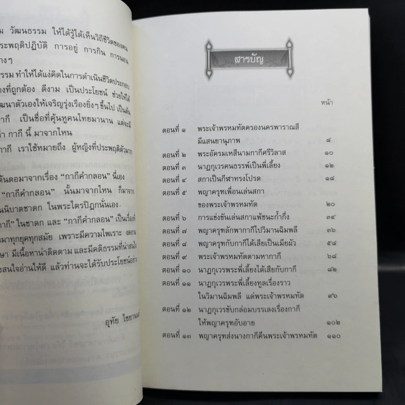 กากี - อุทัย ไชยานนท์ รูปที่ 10