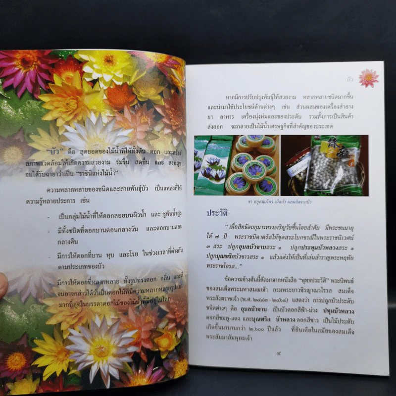 สารานุกรมไทยสำหรับเยาวชน ฉบับเสริมการเรียนรู้ เล่ม 13 บัว เฟิร์น กล้วยไม้ รูปที่ 11