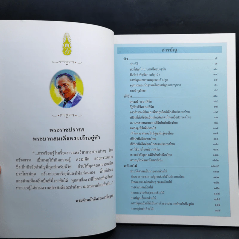 สารานุกรมไทยสำหรับเยาวชน ฉบับเสริมการเรียนรู้ เล่ม 13 บัว เฟิร์น กล้วยไม้ รูปที่ 10
