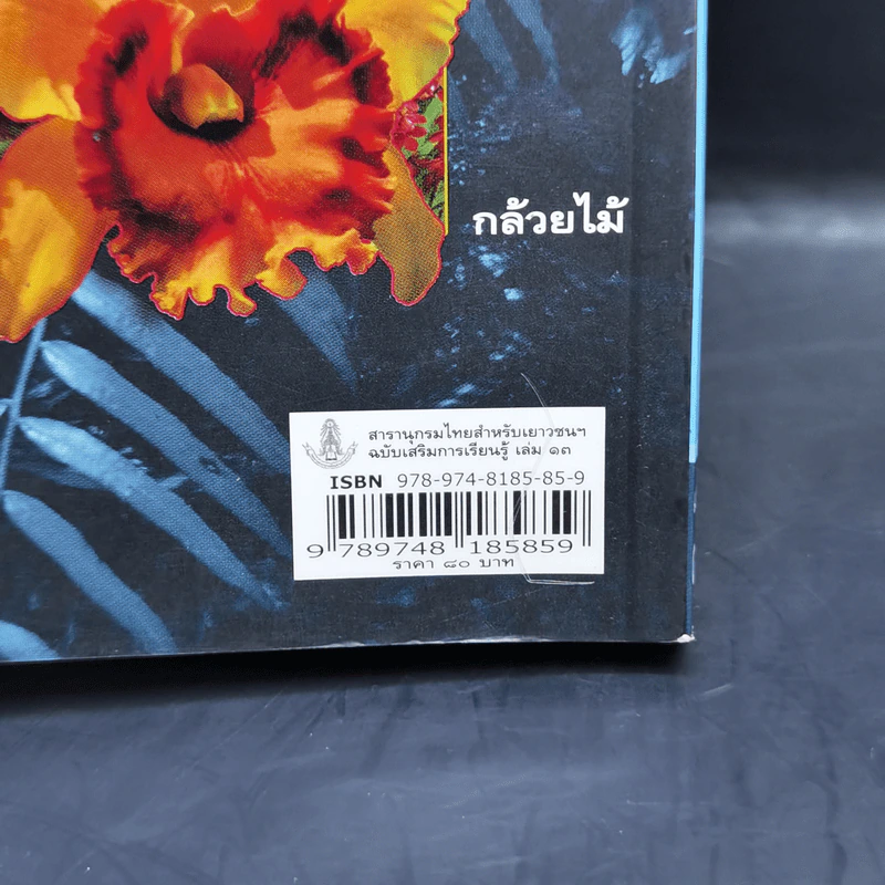 สารานุกรมไทยสำหรับเยาวชน ฉบับเสริมการเรียนรู้ เล่ม 13 บัว เฟิร์น กล้วยไม้ รูปที่ 14