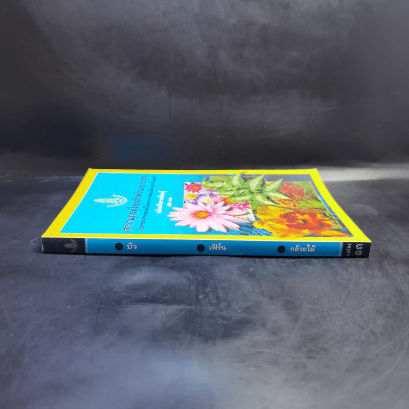สารานุกรมไทยสำหรับเยาวชน ฉบับเสริมการเรียนรู้ เล่ม 13 บัว เฟิร์น กล้วยไม้ รูปที่ 3