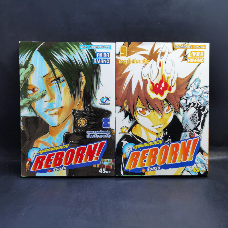 Reborn รีบอร์น ครูพิเศษจอมป่วน 42 เล่มจบ รูปที่ 10