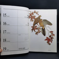 Birds Exotic Central Diary 1990 รูปที่ 12