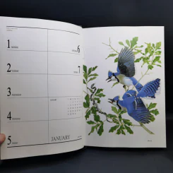 Birds Exotic Central Diary 1990 รูปที่ 10