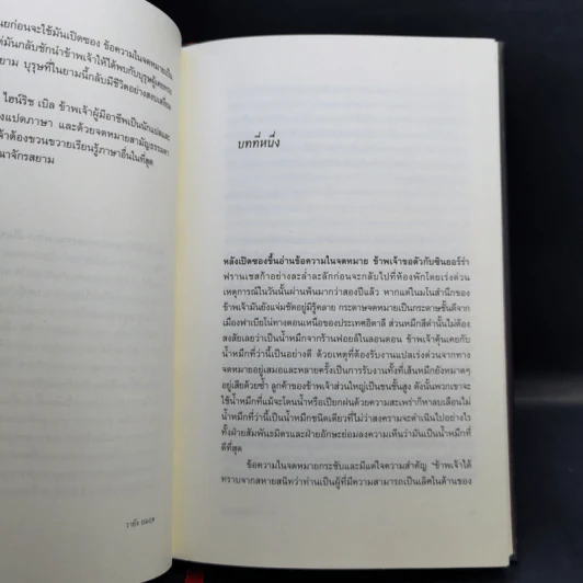 วายัง อมฤต - อนุสรณ์ ติปยานนท์ รูปที่ 10