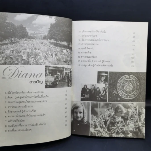 ไดอาน่าเจ้าหญิงนิรันดร์กาล - มุกรินทร์ รูปที่ 10