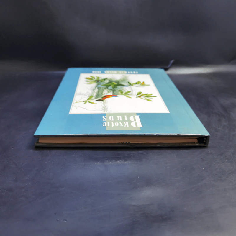 Birds Exotic Central Diary 1990 รูปที่ 6