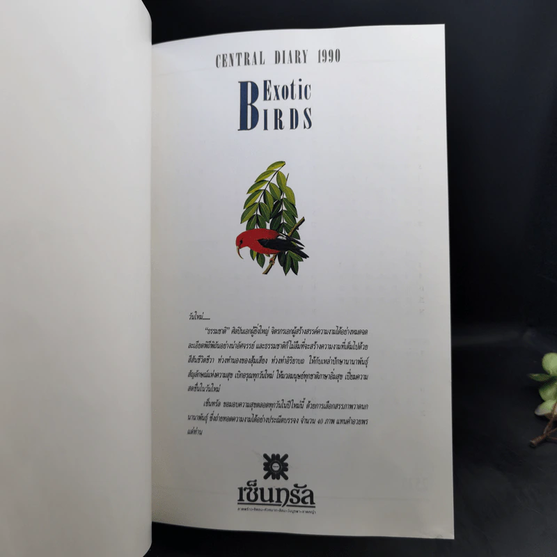 Birds Exotic Central Diary 1990 รูปที่ 8