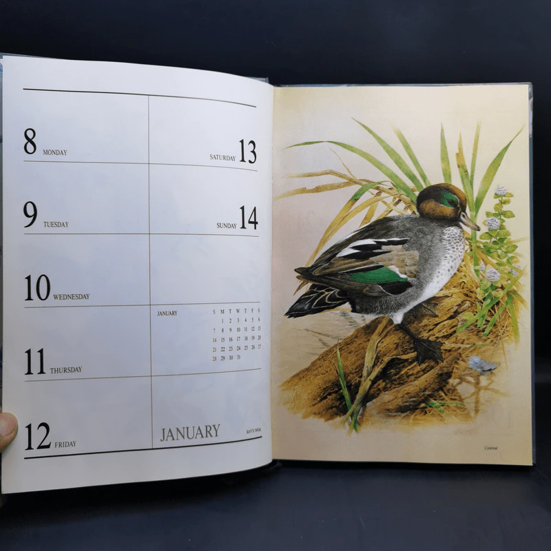 Birds Exotic Central Diary 1990 รูปที่ 11