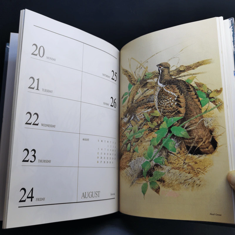 Birds Exotic Central Diary 1990 รูปที่ 13