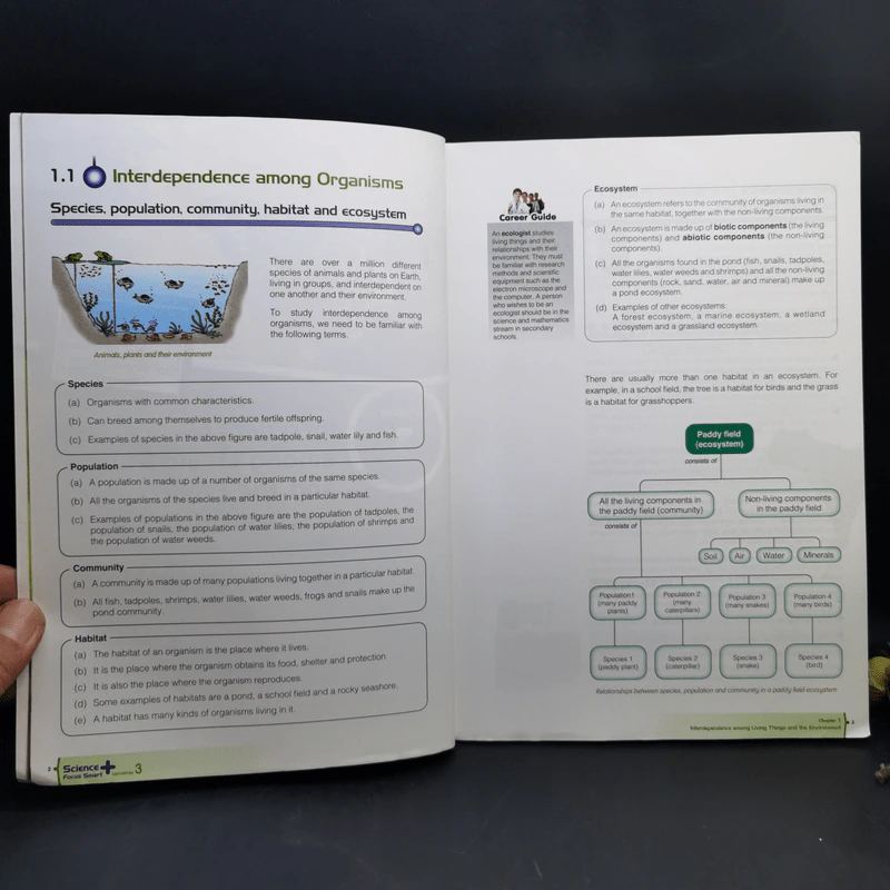 Science Textbook Mathayom 2-3 รูปที่ 12