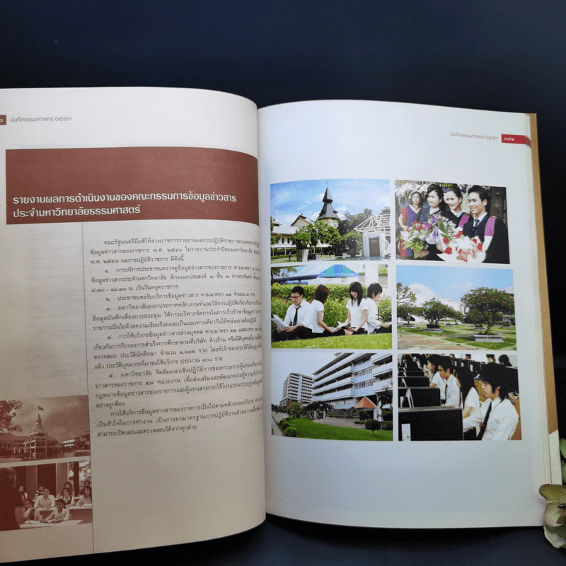 บันทึกธรรมศาสตร์ 2553 รูปที่ 14